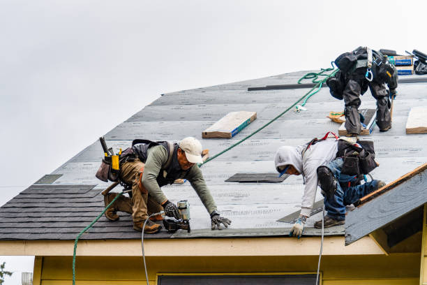 Professional Gutter Installation technician working in Freeport, IL